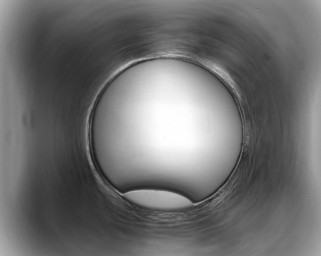 X0000088721439200705311049