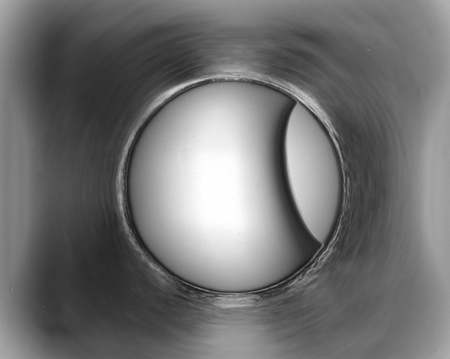 X0000088721440200705311049