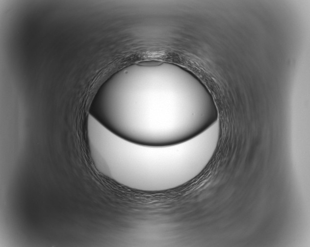 X0000088721441200705311048