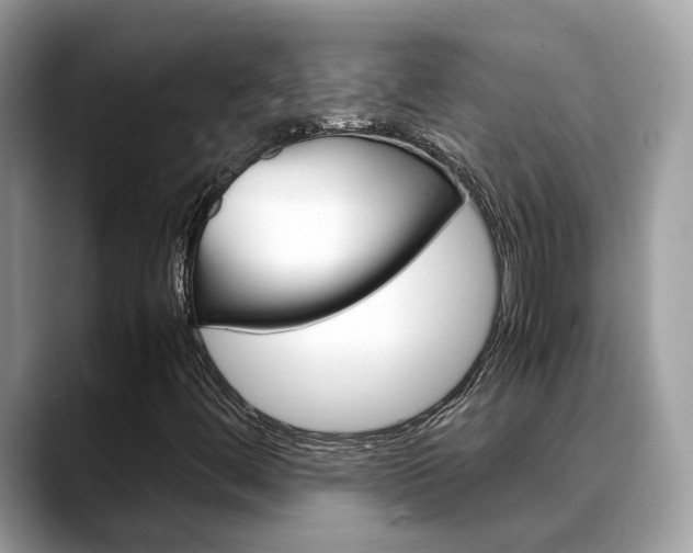 X0000088721444200705311048