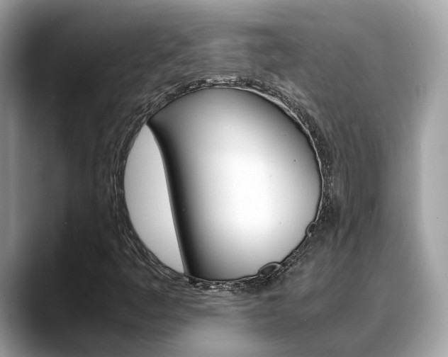 X0000088721445200705311048