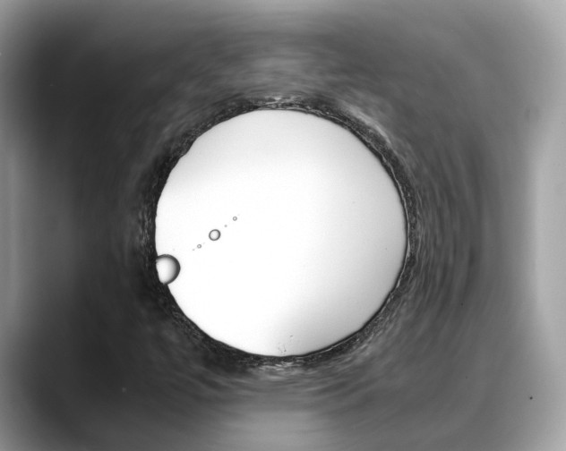 X0000088721447200705311048
