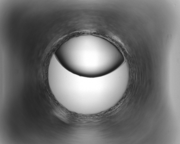X0000088721448200705311048