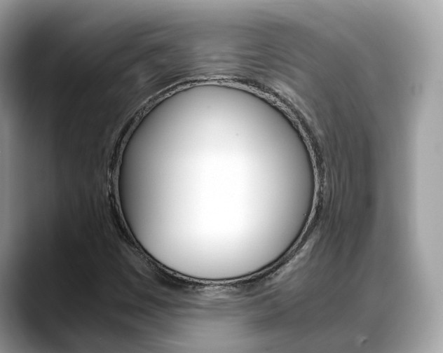 X0000088721449200705311048
