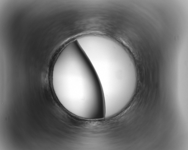 X0000088721452200705311048