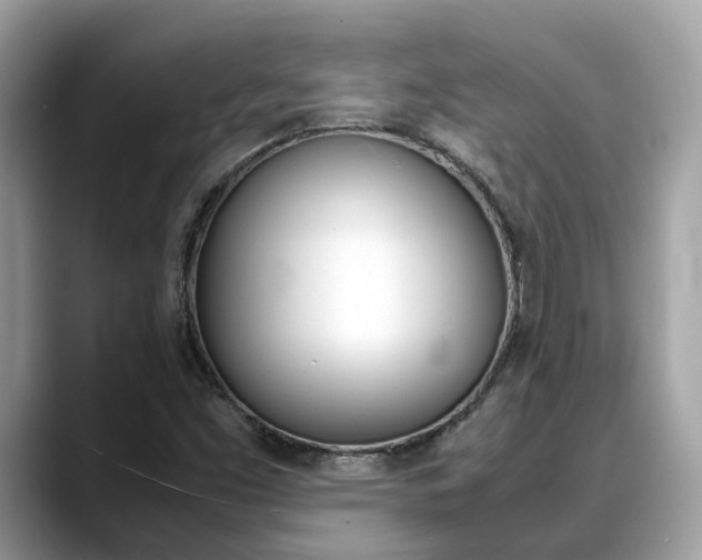 X0000088721453200705311048