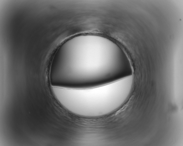 X0000088721455200705311048