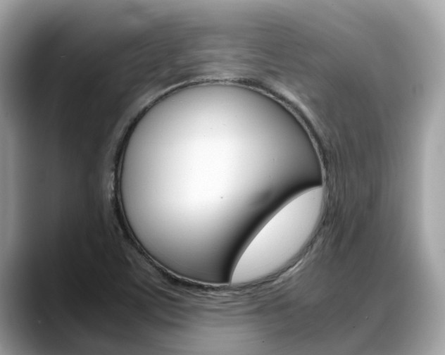 X0000088721459200705311048