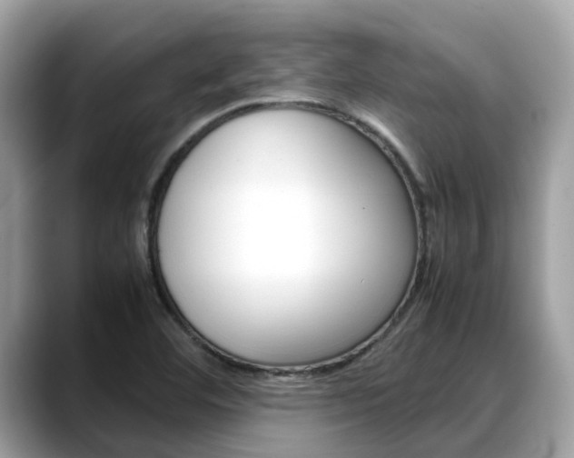 X0000088721460200705311048