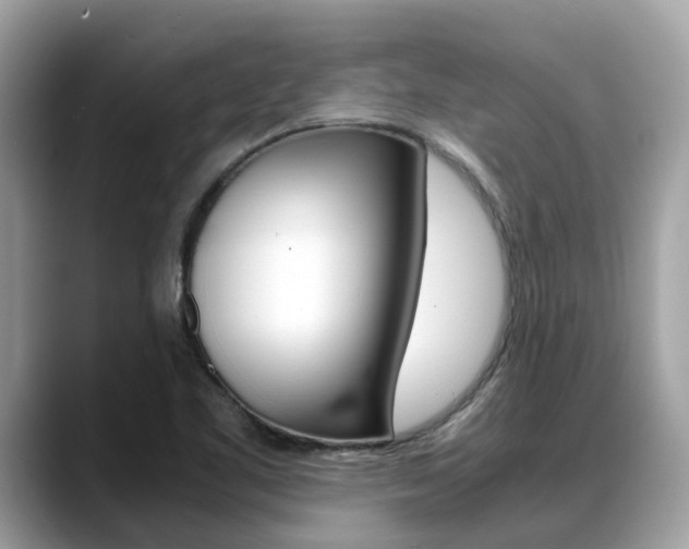 X0000088721461200705311048