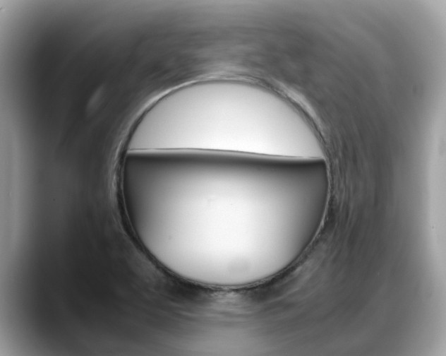 X0000088721463200705311048