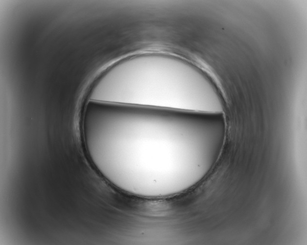 X0000088721464200705311048