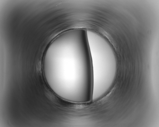 X0000088721465200705311048