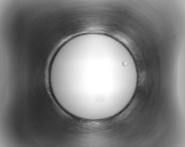 X0000088721470200705311048