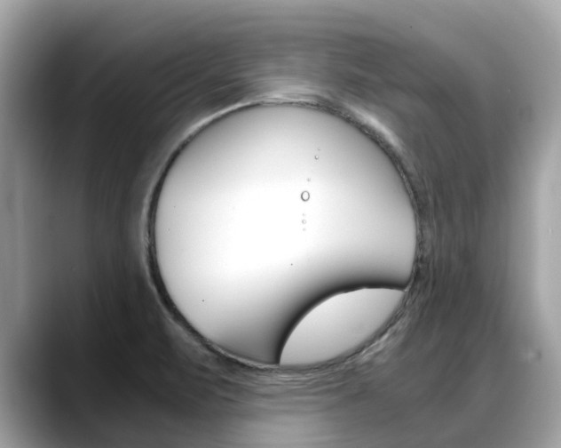 X0000088721471200705311048