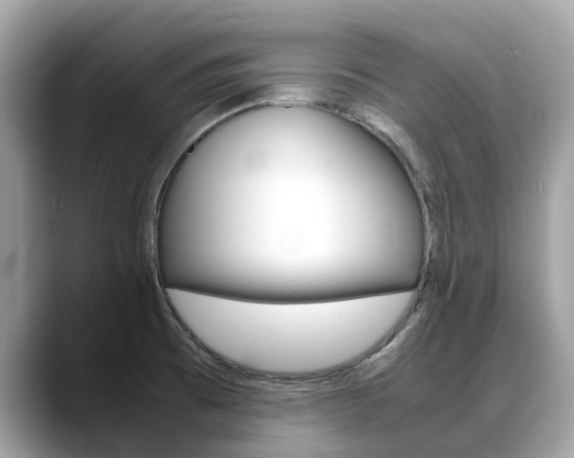 X0000088721473200705311048