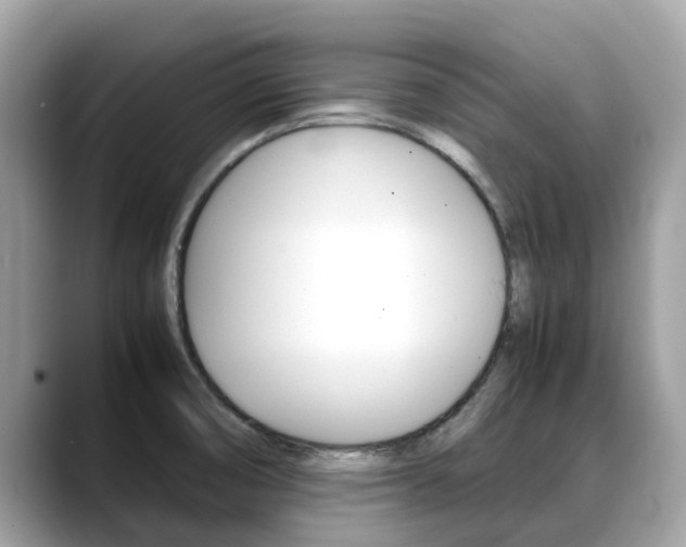 X0000088721474200705311048