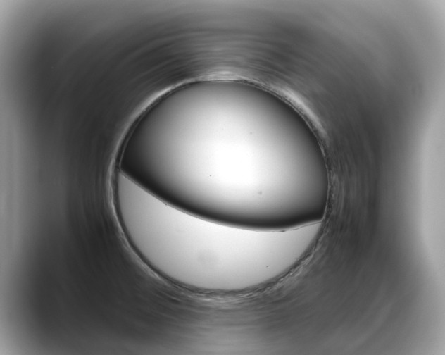 X0000088721476200705311048