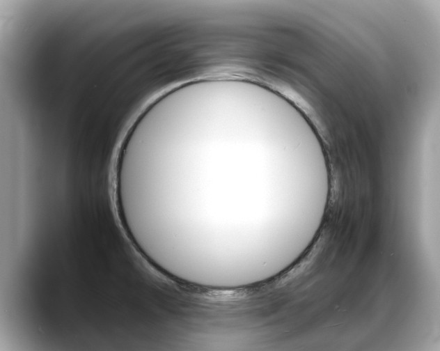 X0000088721478200705311048