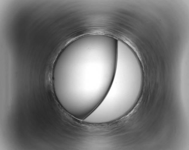 X0000088721481200705311048