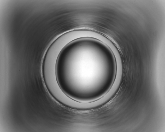 X0000088721484200705311048