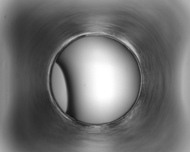 X0000088721485200705311048
