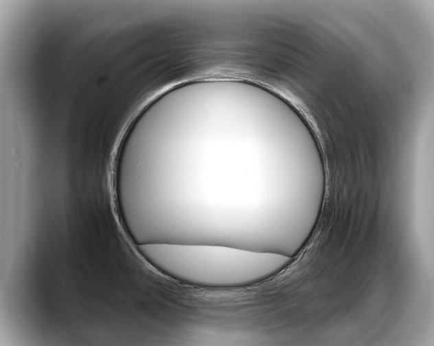 X0000088721486200705311048