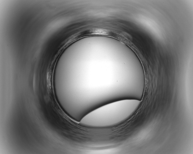 X0000088721487200705311048