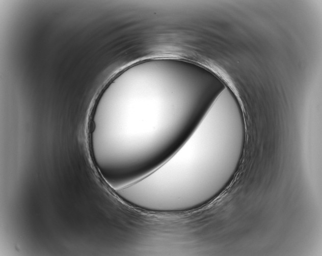 X0000088721488200705311048