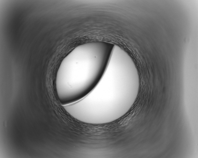 X0000088721489200705311047