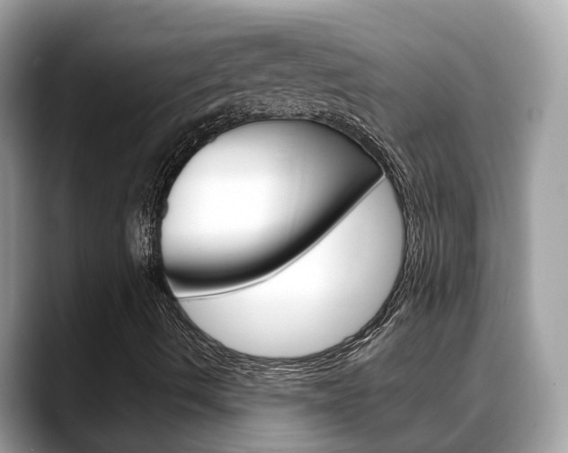 X0000088721490200705311047