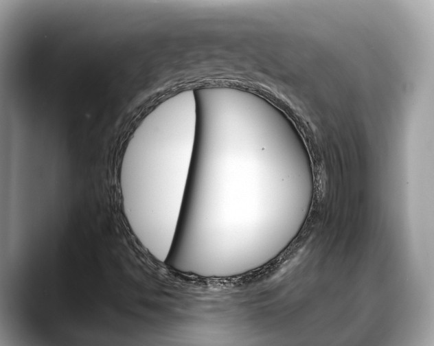 X0000088721494200705311047