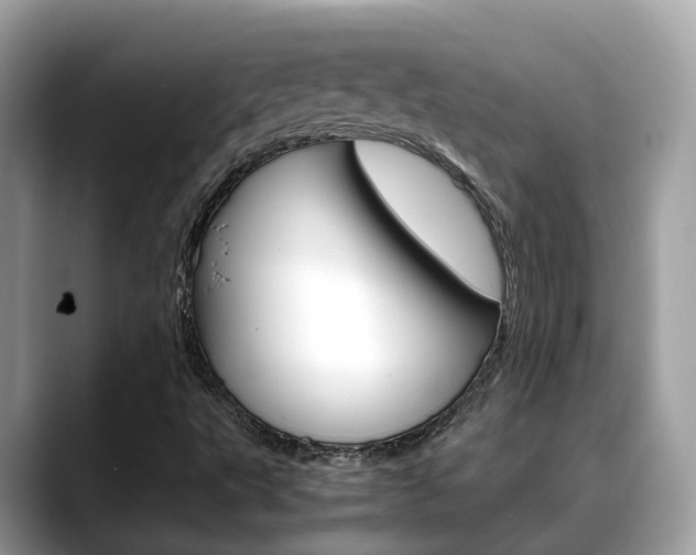 X0000088721495200705311047