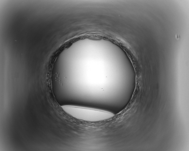 X0000088721496200705311047