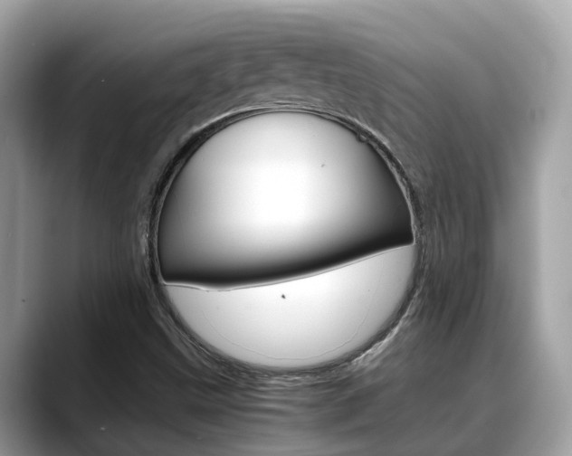 X0000088721499200705311047