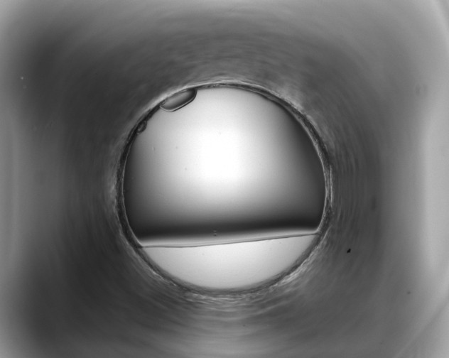 X0000088721500200705311047
