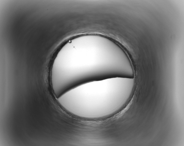 X0000088721502200705311047