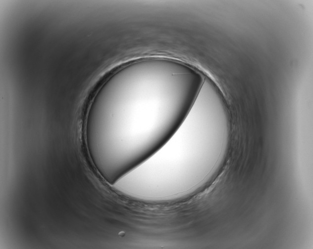 X0000088721503200705311047
