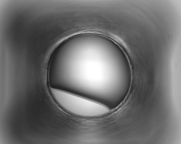 X0000088721504200705311047