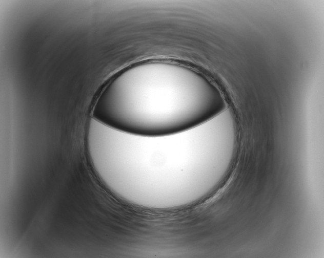X0000088721505200705311047