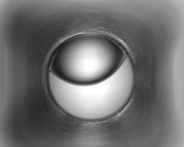 X0000088721506200705311047