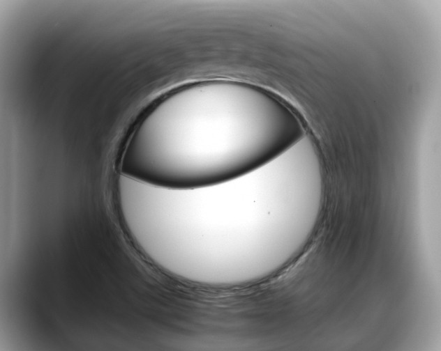 X0000088721507200705311047