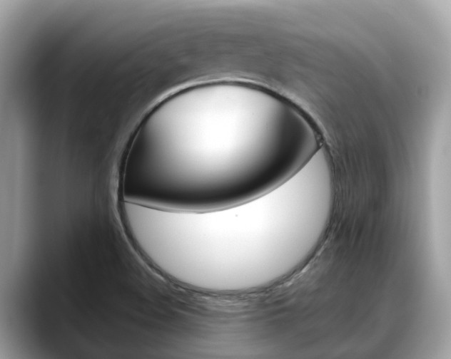 X0000088721508200705311047