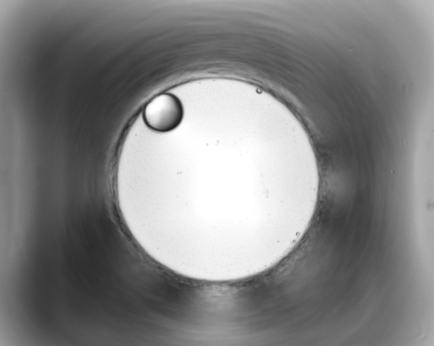 X0000088721514200705311047
