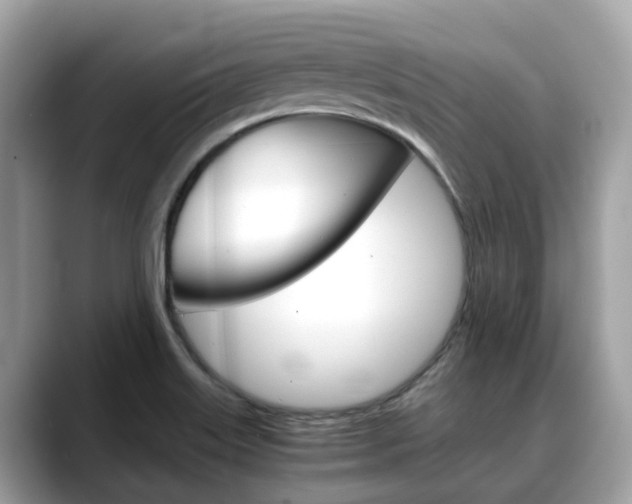 X0000088721515200705311047