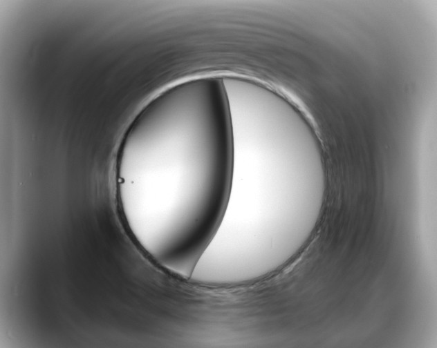 X0000088721516200705311047