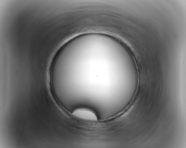 X0000088721517200705311047