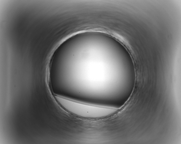 X0000088721520200705311047