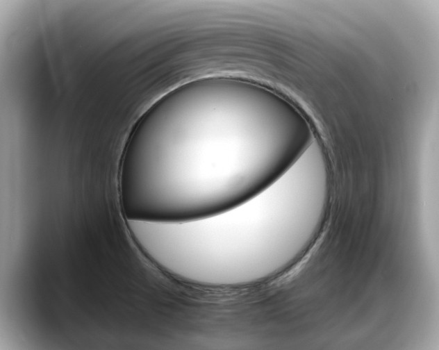 X0000088721521200705311047