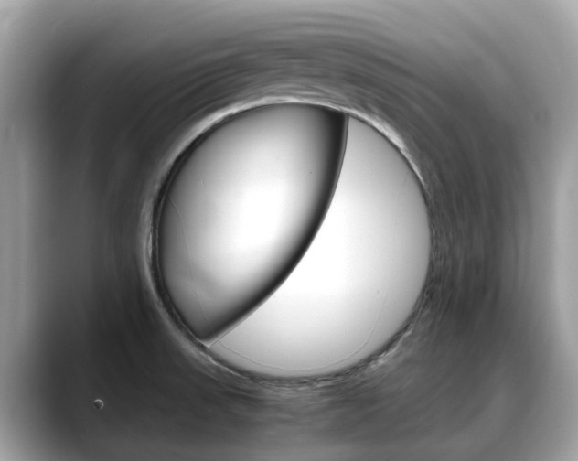 X0000088721523200705311047